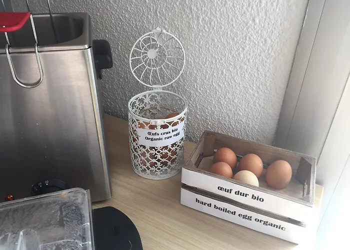 Des Frenes Euromedecine Hotell 2*